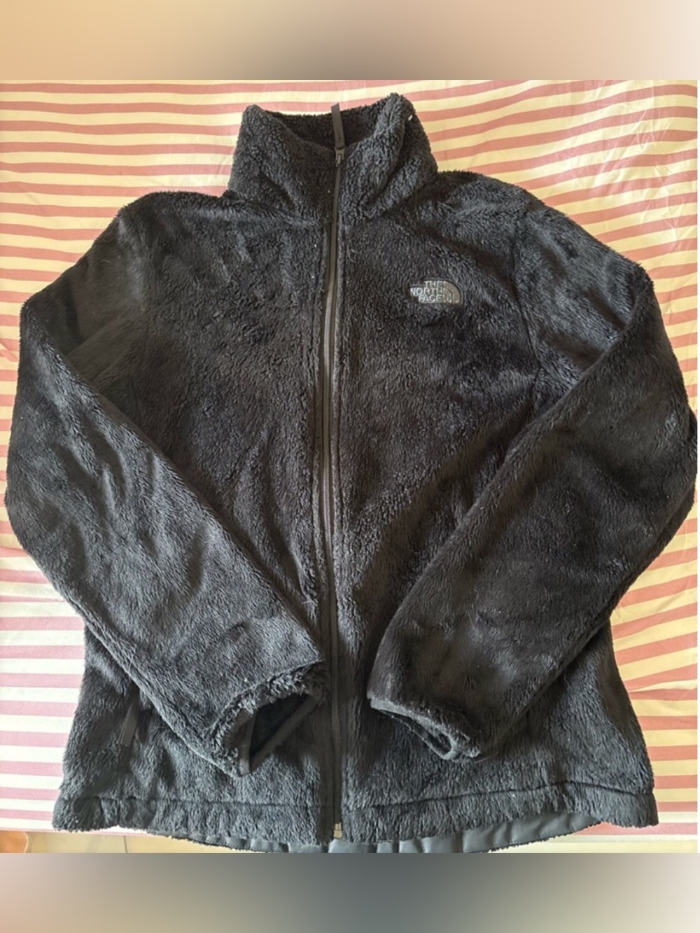 The North Face Black Plush Full-Zip Teddy Fleece Jacket